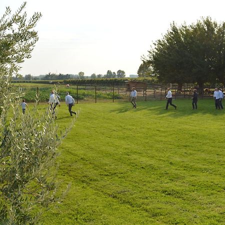 Agriturismo Al Casale Lonigo Extérieur photo