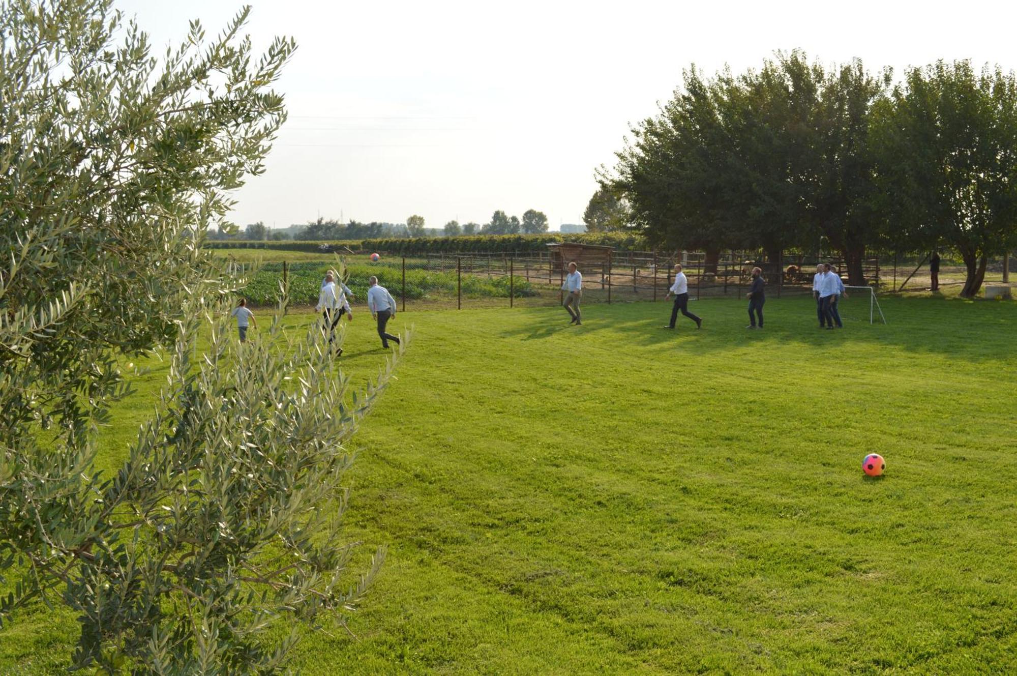 Agriturismo Al Casale Lonigo Extérieur photo